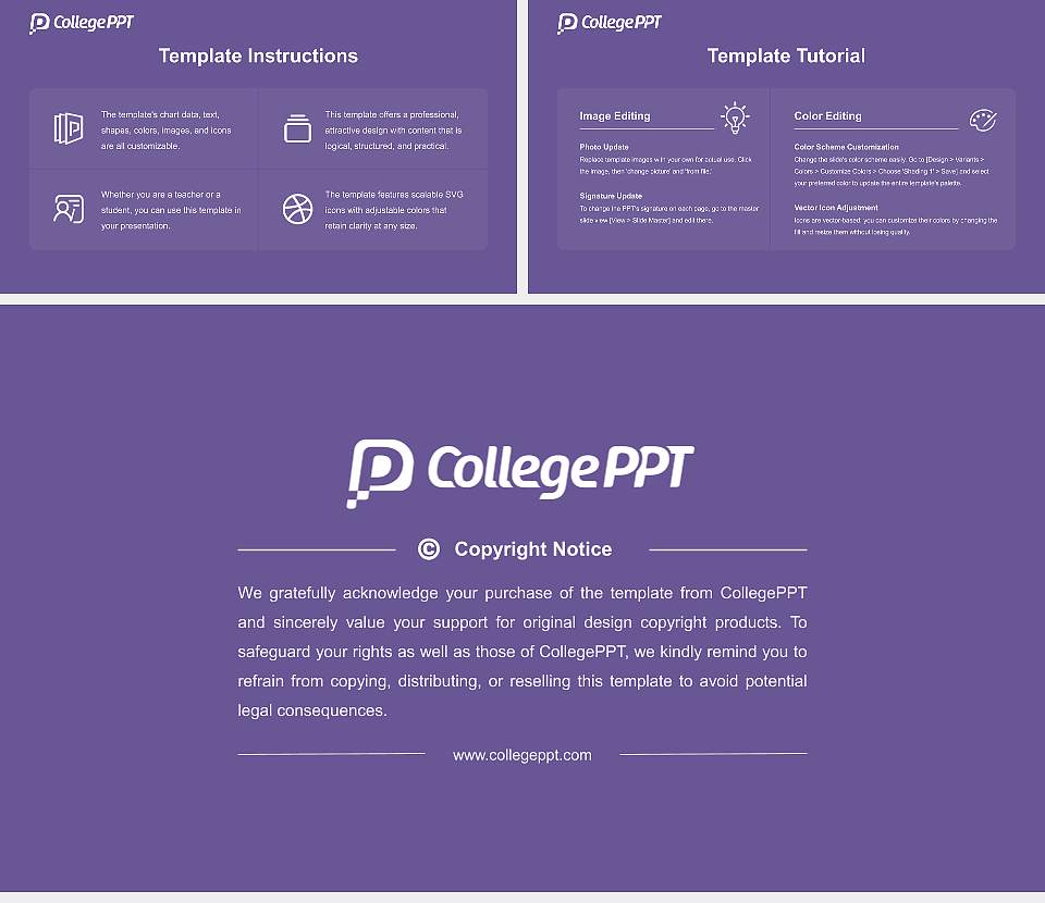 Chiba Keizai University Academic Presentation/Research Findings Report PPT Template16:9 ratio PPT effect preview image5