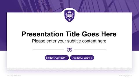 University of Sheffield National Scholarship Defense PPT Template