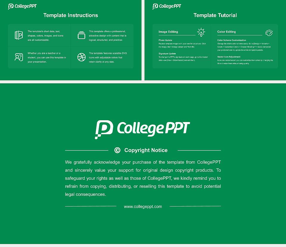 Chiba University of Commerce Academic Presentation/Research Findings Report PPT Template16:9 ratio PPT effect preview image5