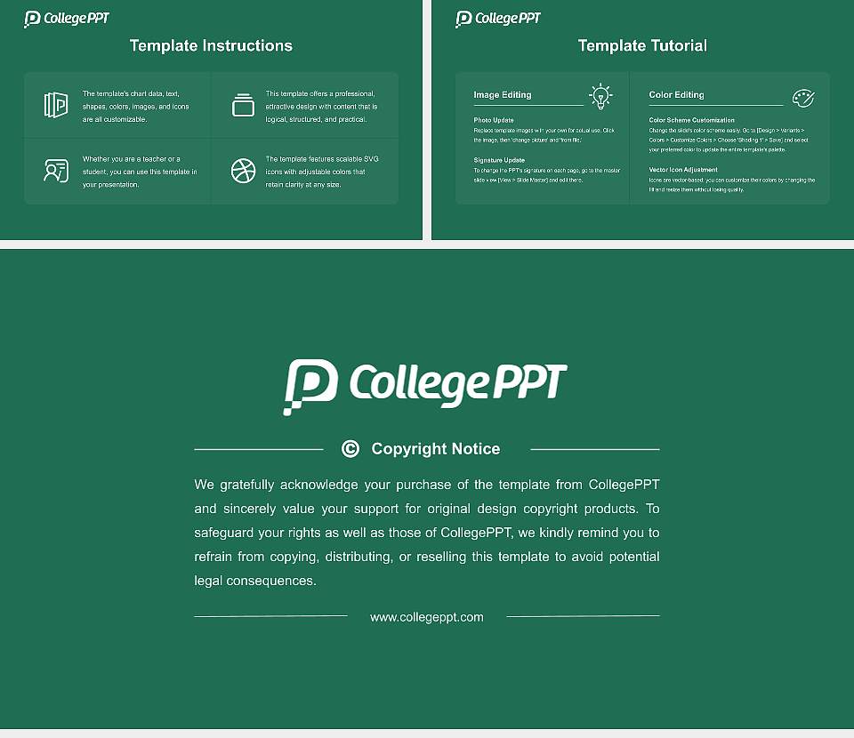 Den-en Chofu University Academic Presentation/Research Findings Report PPT Template16:9 ratio PPT effect preview image5