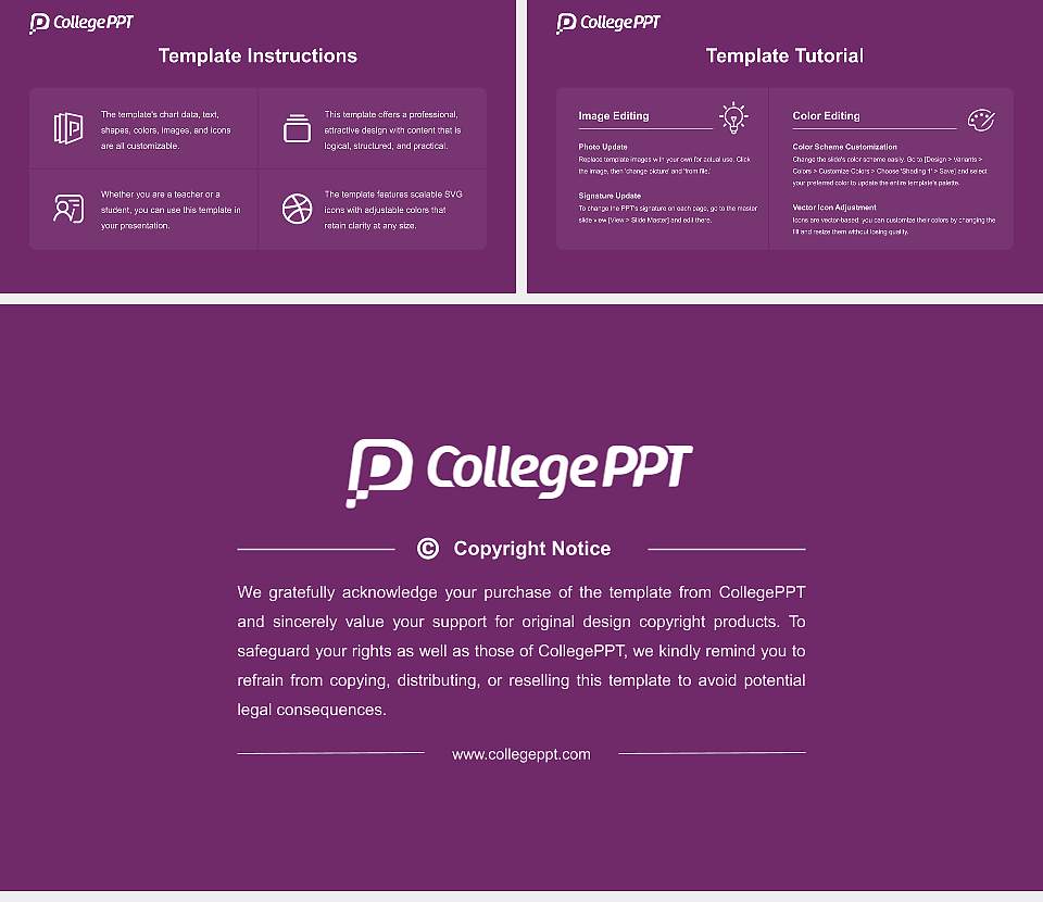 University of Winchester Course/Courseware Creation PPT Template16:9 ratio PPT effect preview image5
