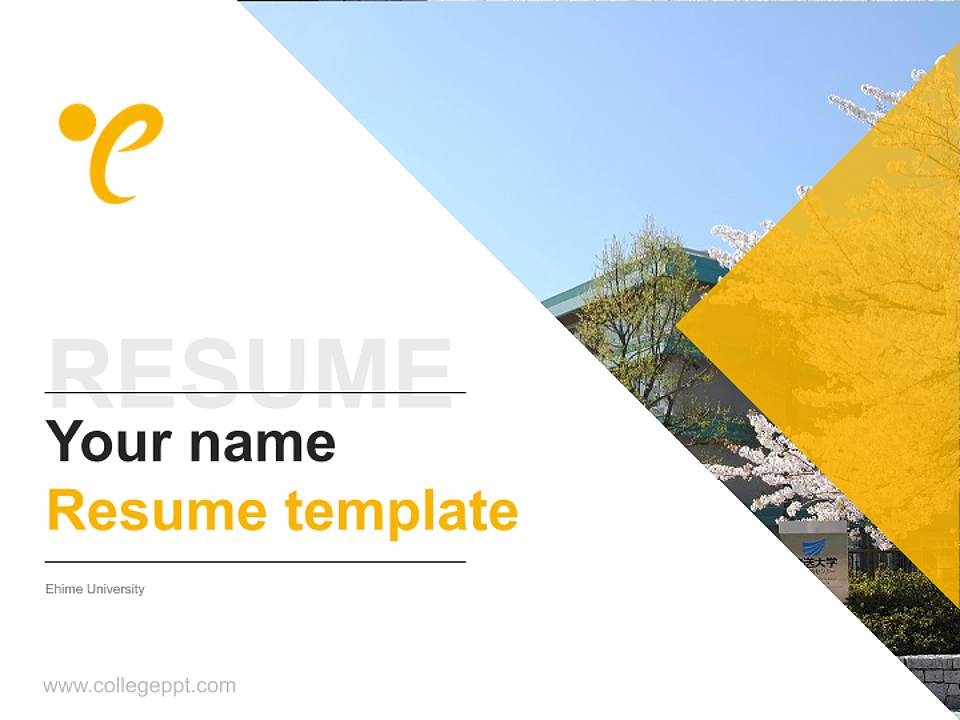 Ehime University Resume PPT Template4:3 ratio PPT effect preview image5