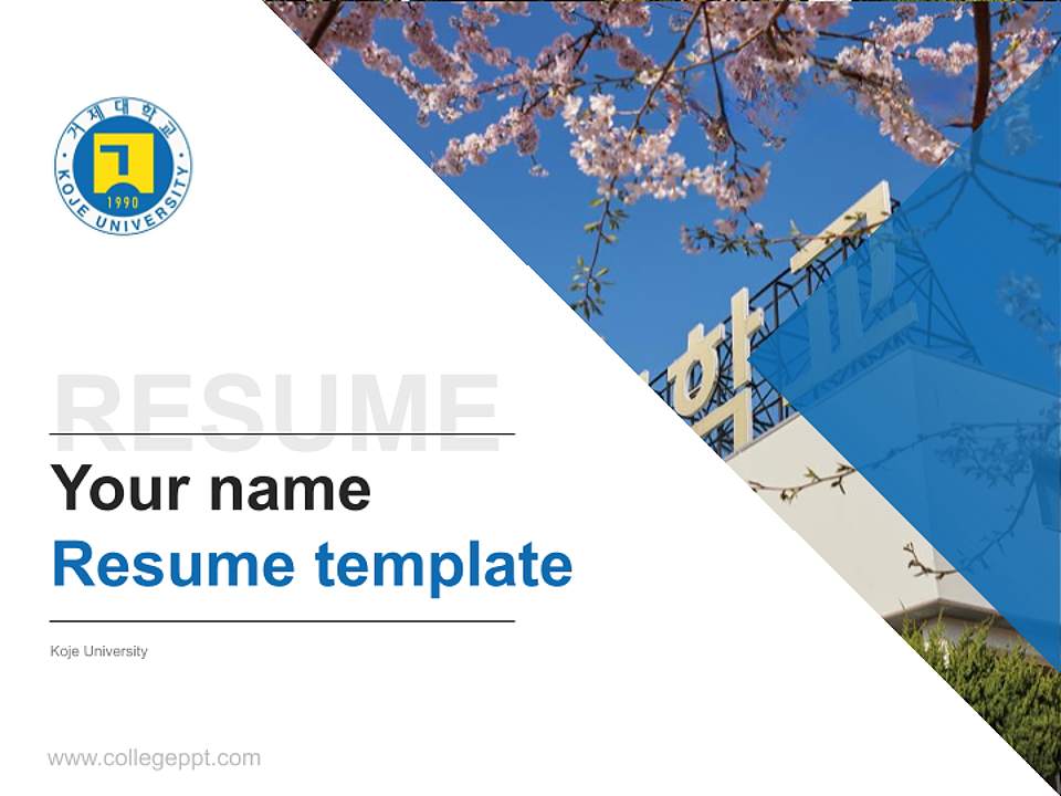 Koje University Resume PPT Template4:3 ratio PPT effect preview image5