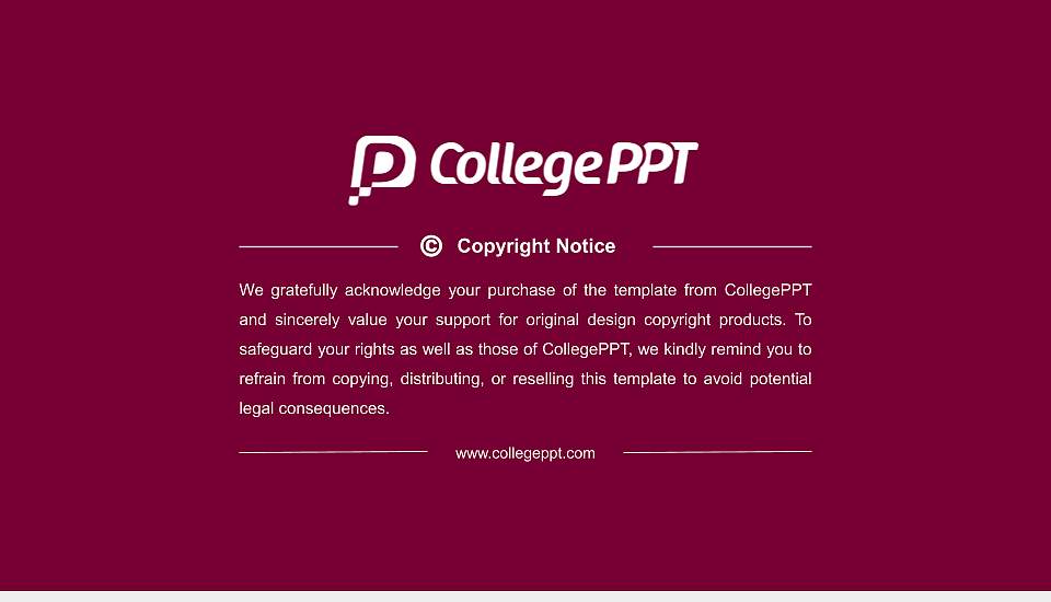 Cairn University Resume PPT Template16:9 ratio PPT effect preview image5