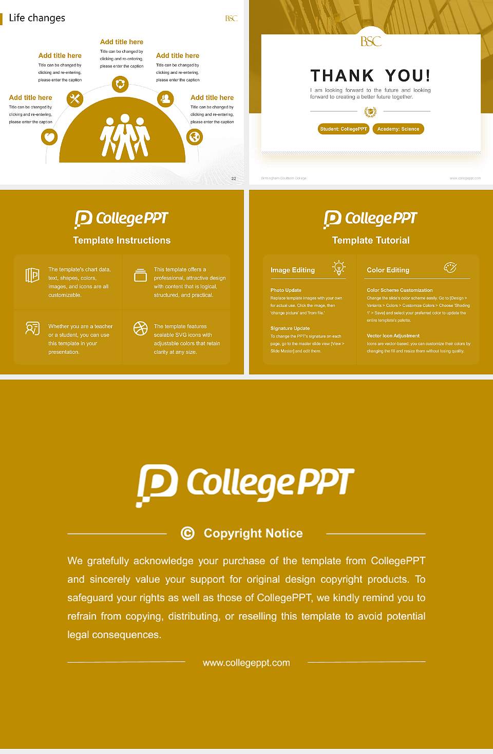 Birmingham-Southern College National Scholarship Defense PPT Template4:3 ratio PPT effect preview image4