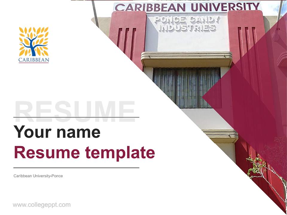 Caribbean University-Ponce Resume PPT Template4:3 ratio PPT effect preview image5
