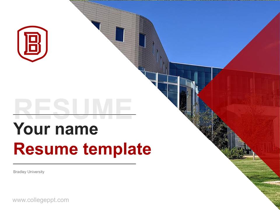 Bradley University Resume PPT Template4:3 ratio PPT effect preview image5