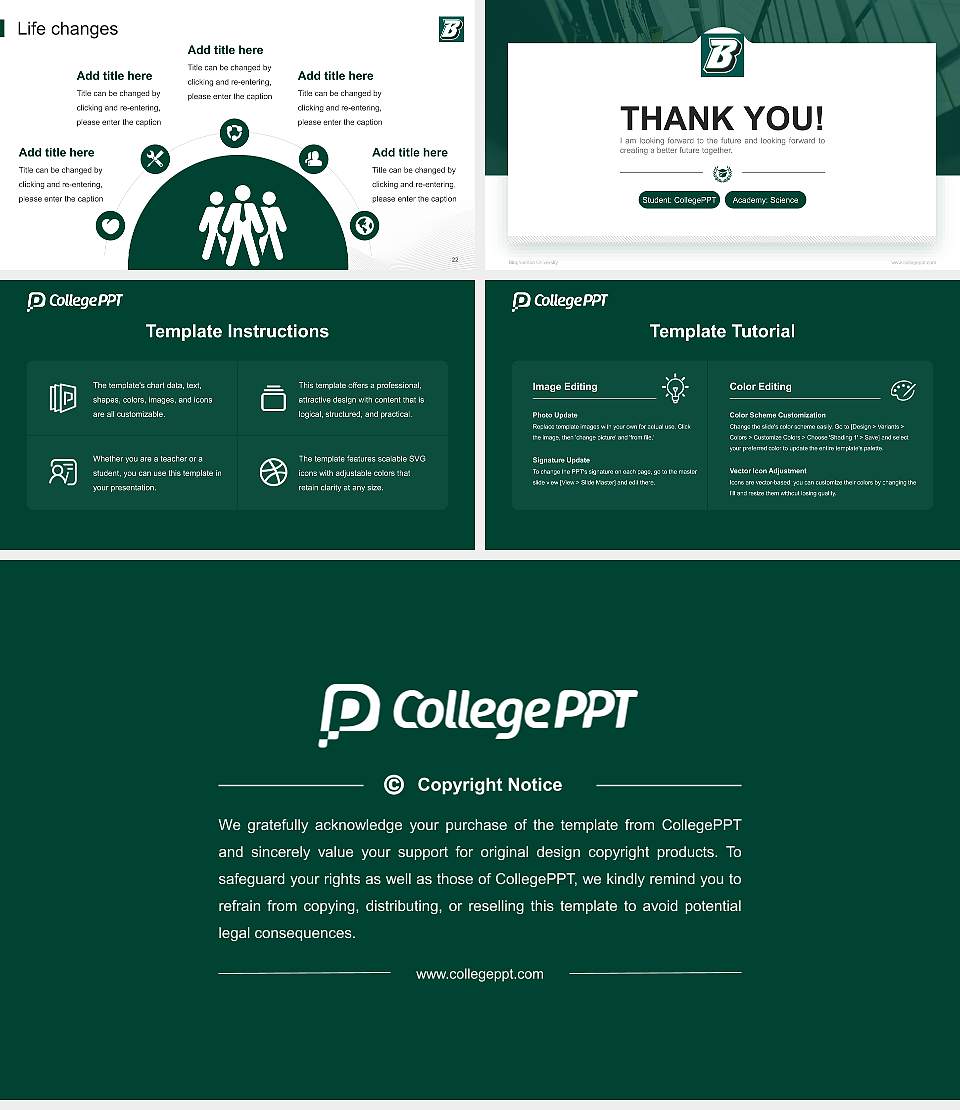 Binghamton University National Scholarship Defense PPT Template16:9 ratio PPT effect preview image4