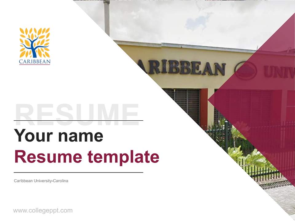 Caribbean University-Carolina Resume PPT Template4:3 ratio PPT effect preview image5