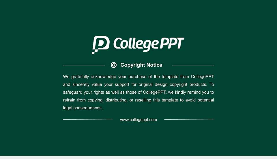 Binghamton University Resume PPT Template16:9 ratio PPT effect preview image5