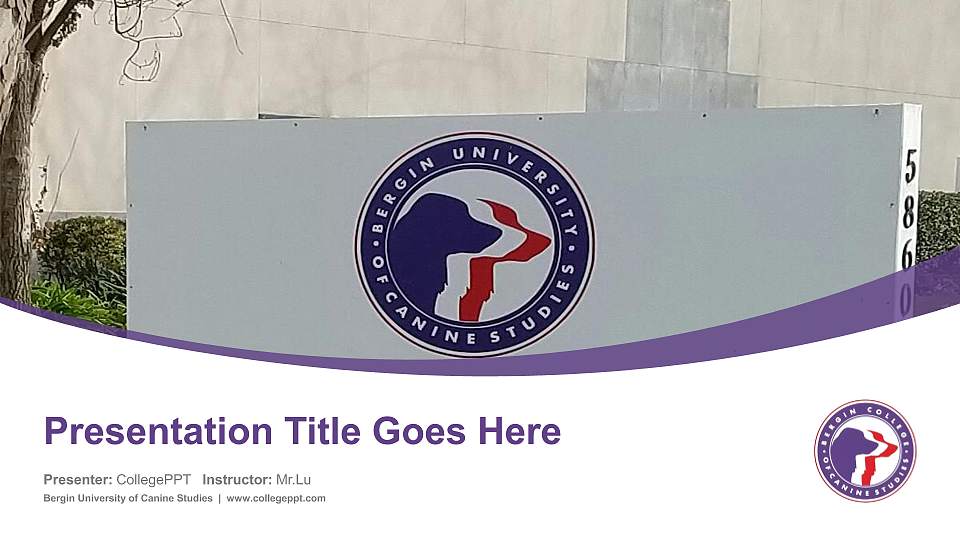 Bergin University of Canine Studies Course/Courseware Creation PPT Template16:9 ratio PPT effect preview image