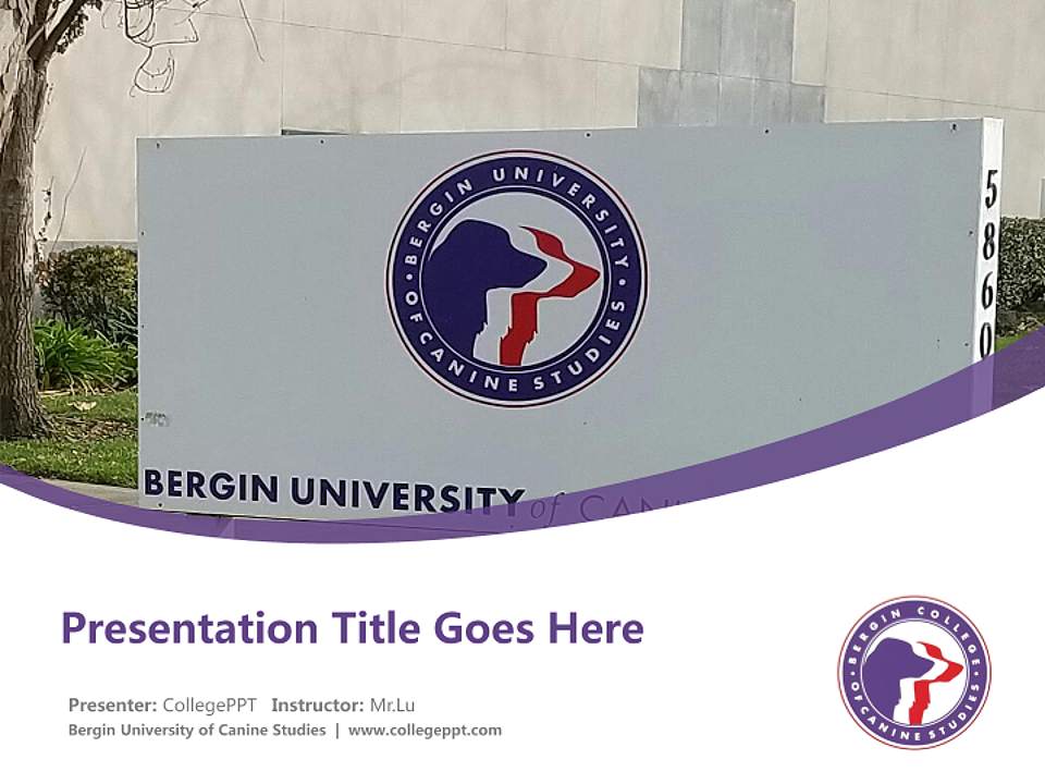 Bergin University of Canine Studies Course/Courseware Creation PPT Template4:3 ratio PPT effect preview image5