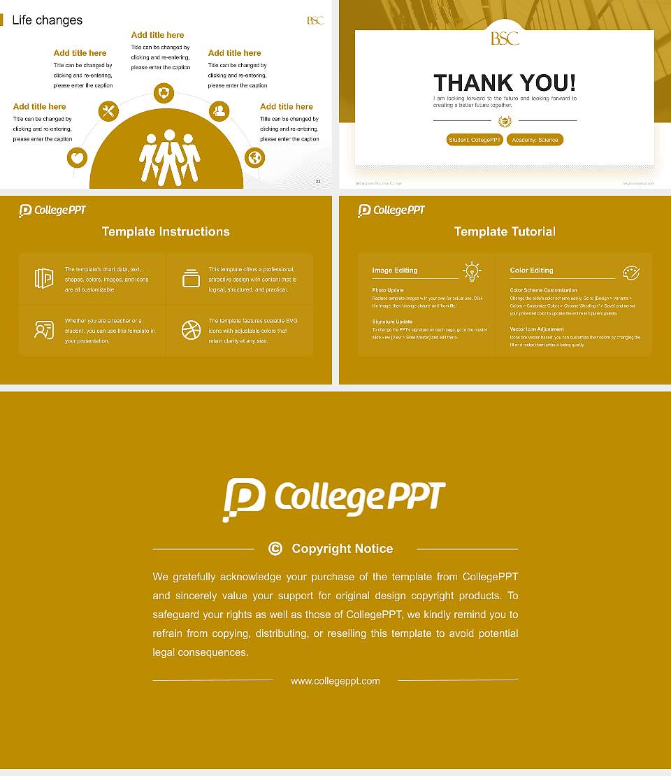 Birmingham-Southern College National Scholarship Defense PPT Template16:9 ratio PPT effect preview image4