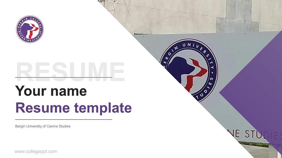 Bergin University of Canine Studies Resume PPT Template16:9 ratio PPT effect preview image