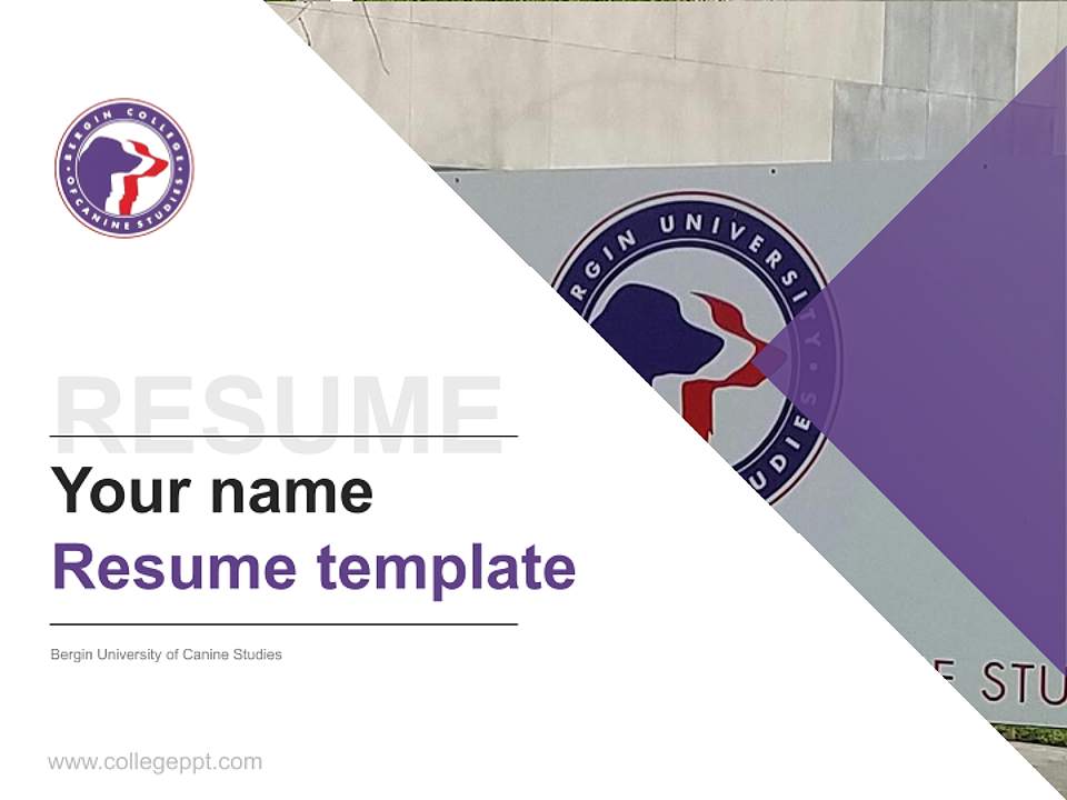 Bergin University of Canine Studies Resume PPT Template4:3 ratio PPT effect preview image5
