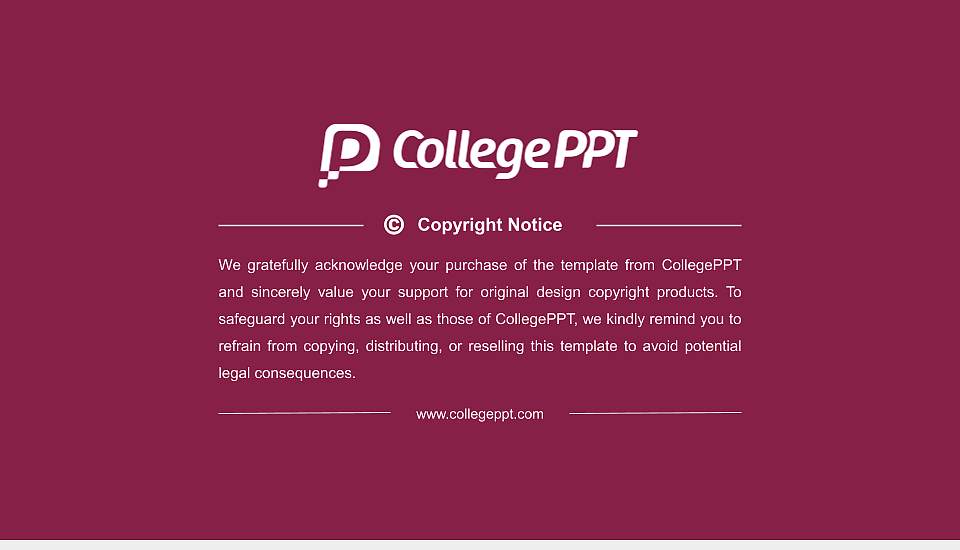 Bethune-Cookman University Resume PPT Template16:9 ratio PPT effect preview image5