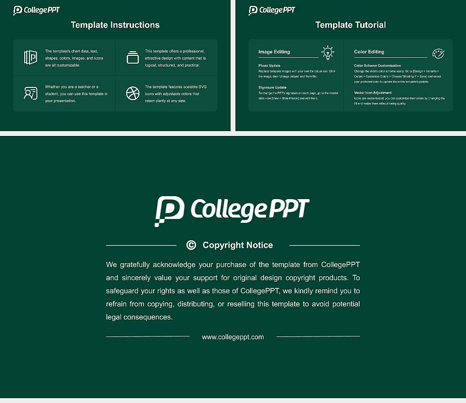 Binghamton University Academic Presentation/Research Findings Report PPT Template16:9 ratio PPT effect preview image5