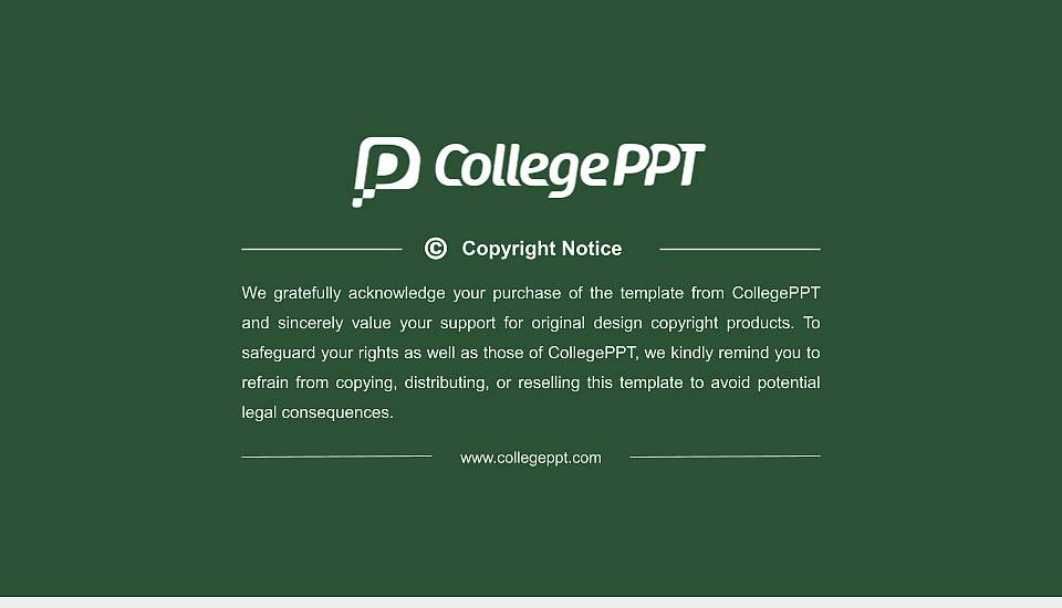 Charleston School of Law General Purpose PPT Template16:9 ratio PPT effect preview image6