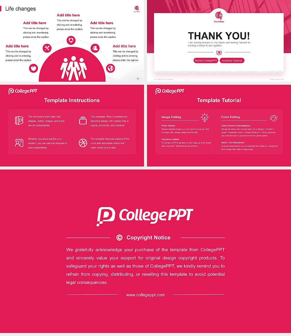 City College-Fort Lauderdale National Scholarship Defense PPT Template16:9 ratio PPT effect preview image4