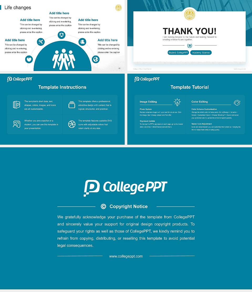 College of Mount Saint Vincent National Scholarship Defense PPT Template16:9 ratio PPT effect preview image4