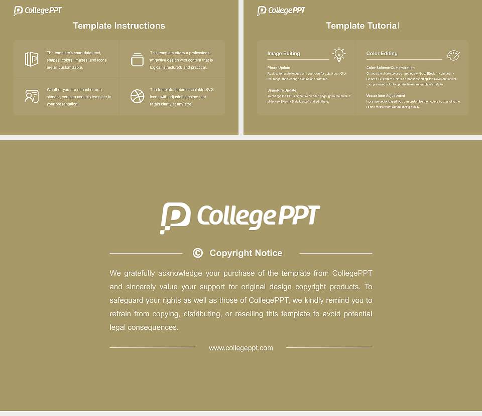 Charleston Southern University Course/Courseware Creation PPT Template16:9 ratio PPT effect preview image5