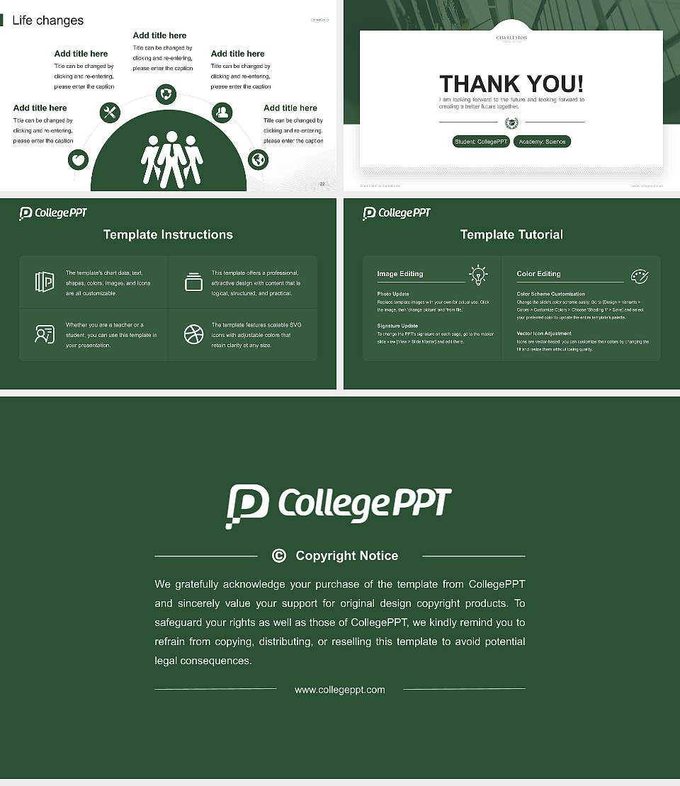 Charleston School of Law National Scholarship Defense PPT Template16:9 ratio PPT effect preview image4