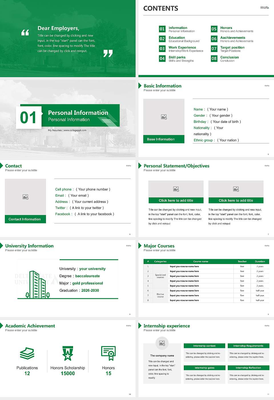 Delta State University Resume PPT Template16:9 ratio PPT effect preview image2