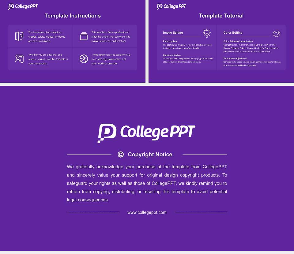 Hunter College Course/Courseware Creation PPT Template16:9 ratio PPT effect preview image5
