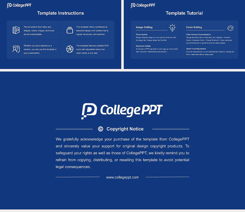 Denver College of Nursing Course/Courseware Creation PPT Template16:9 ratio PPT effect preview image5
