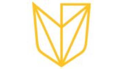 Devry University-Arizona