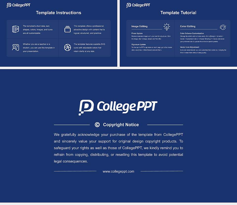 Baruch College Course/Courseware Creation PPT Template16:9 ratio PPT effect preview image5