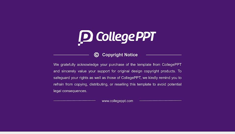 Converse College Resume PPT Template16:9 ratio PPT effect preview image5