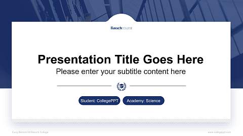 Cuny Bernard M Baruch College National Scholarship Defense PPT Template