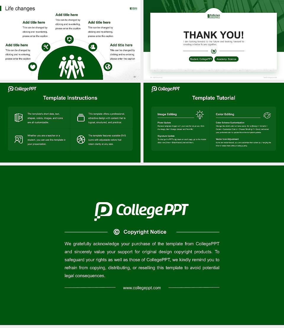 Felician University National Scholarship Defense PPT Template16:9 ratio PPT effect preview image4