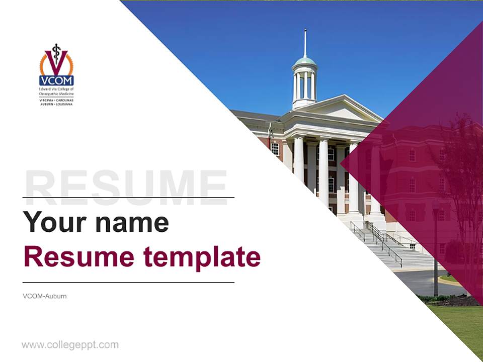 VCOM-Auburn Resume PPT Template4:3 ratio PPT effect preview image5