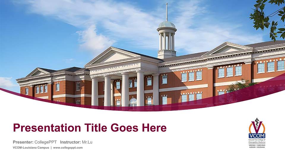 VCOM-Louisiana Campus Course/Courseware Creation PPT Template16:9 ratio PPT effect preview image