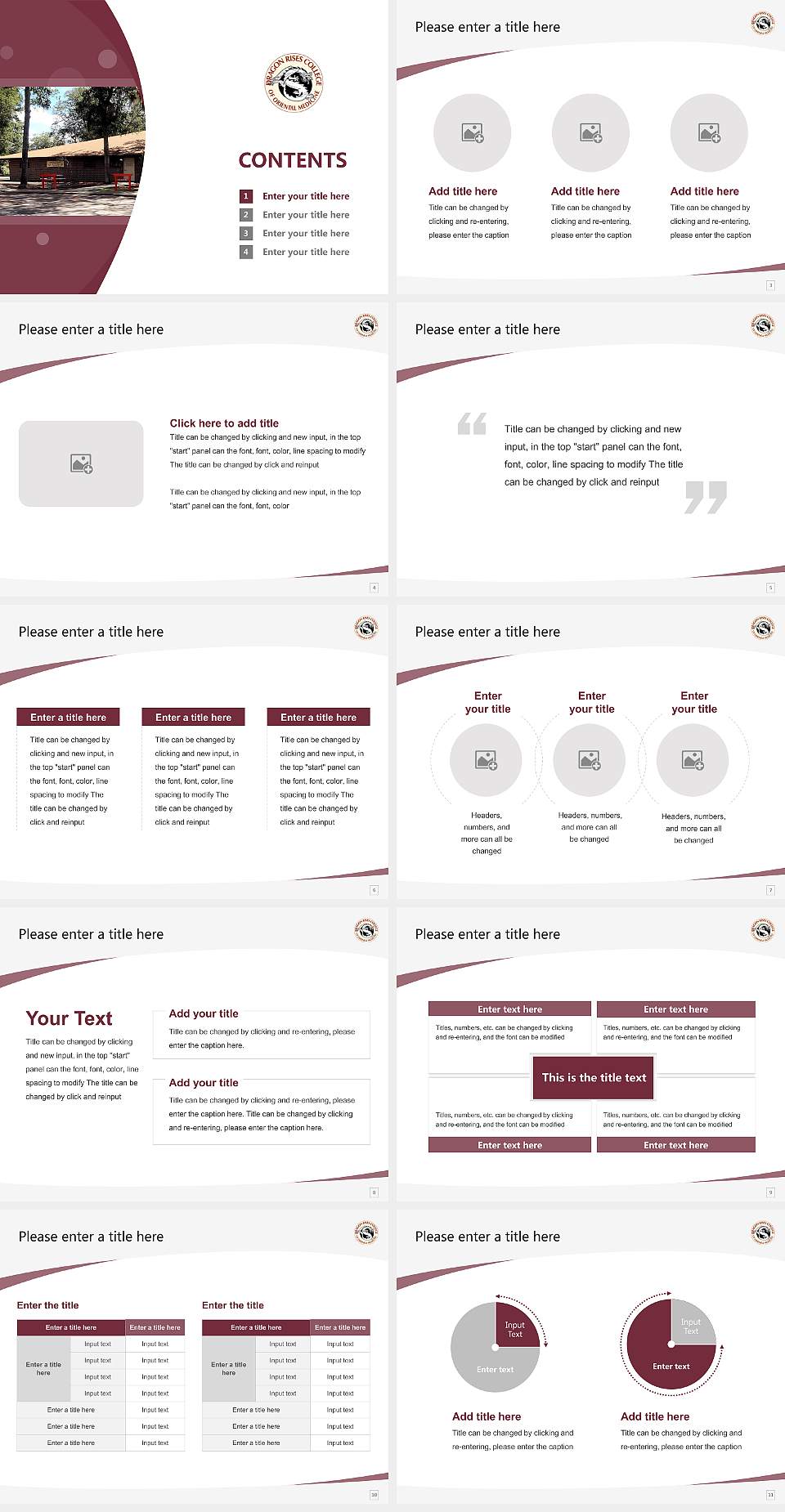 Dragon Rises College of Oriental Medicine Course/Courseware Creation PPT Template4:3 ratio PPT effect preview image2