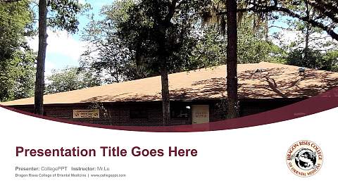 Dragon Rises College of Oriental Medicine Course/Courseware Creation PPT Template