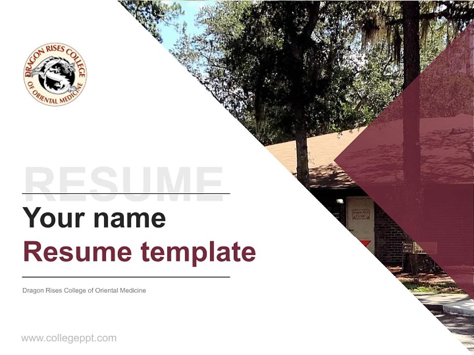 Dragon Rises College of Oriental Medicine Resume PPT Template4:3 ratio PPT effect preview image5
