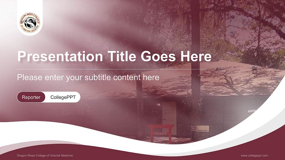 Dragon Rises College of Oriental Medicine Lecture Sharing and Networking Event PPT Template16:9 ratio PPT effect preview image