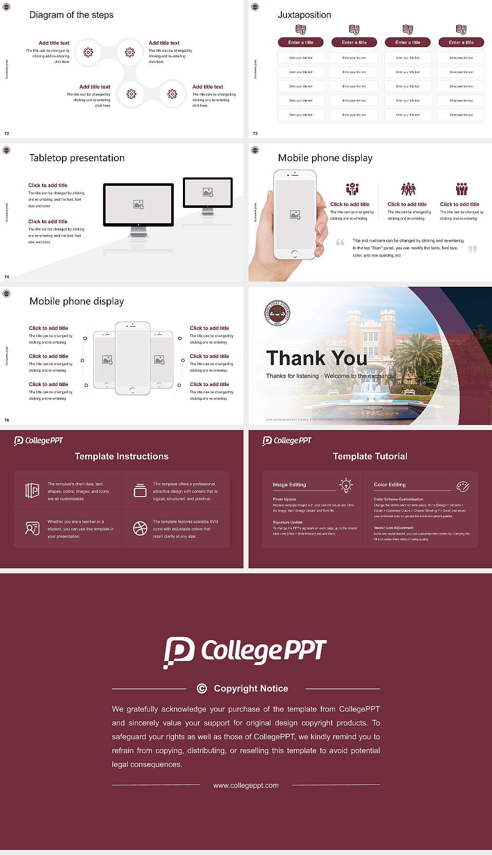 Florida State University Competition/Entrepreneurship Contest PPT Template16:9 ratio PPT effect preview image9