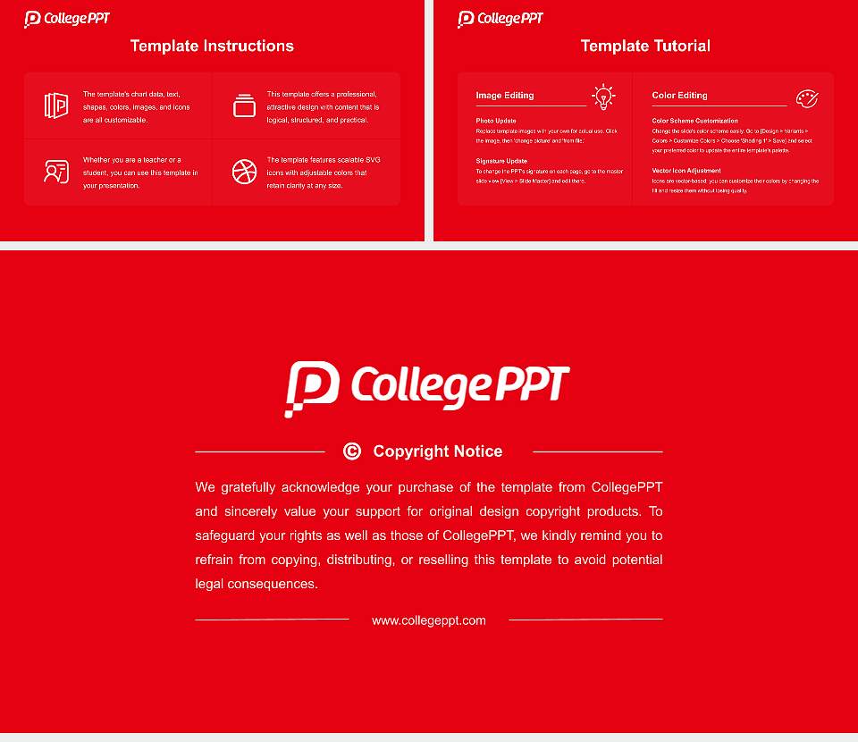Japanese Red Cross Hokkaido College of Nursing Course/Courseware Creation PPT Template16:9 ratio PPT effect preview image5