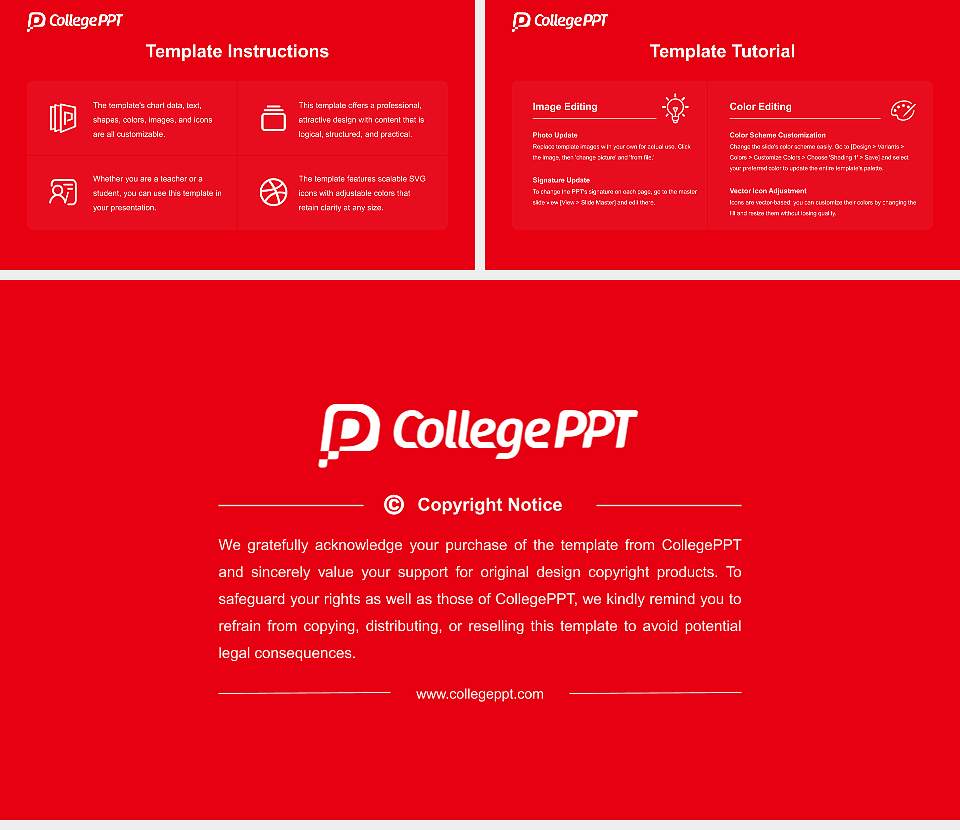 Japanese Red Cross College of Nursing Course/Courseware Creation PPT Template16:9 ratio PPT effect preview image5