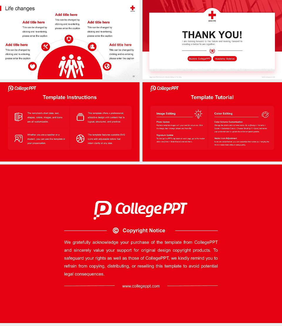 Japanese Red Cross Hokkaido College of Nursing National Scholarship Defense PPT Template16:9 ratio PPT effect preview image4