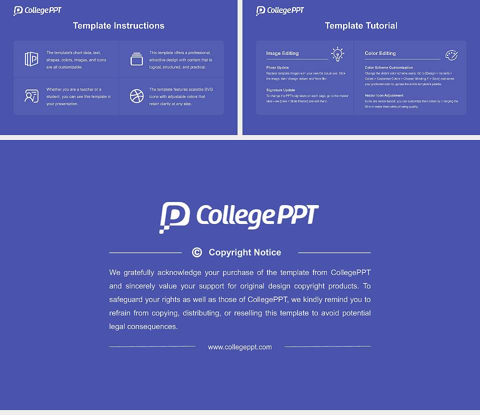 Japan University of Health Sciences Academic Presentation/Research Findings Report PPT Template16:9 ratio PPT effect preview image5