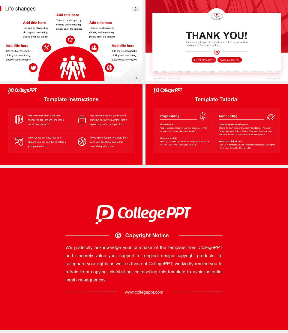 Japanese Red Cross College of Nursing National Scholarship Defense PPT Template16:9 ratio PPT effect preview image4