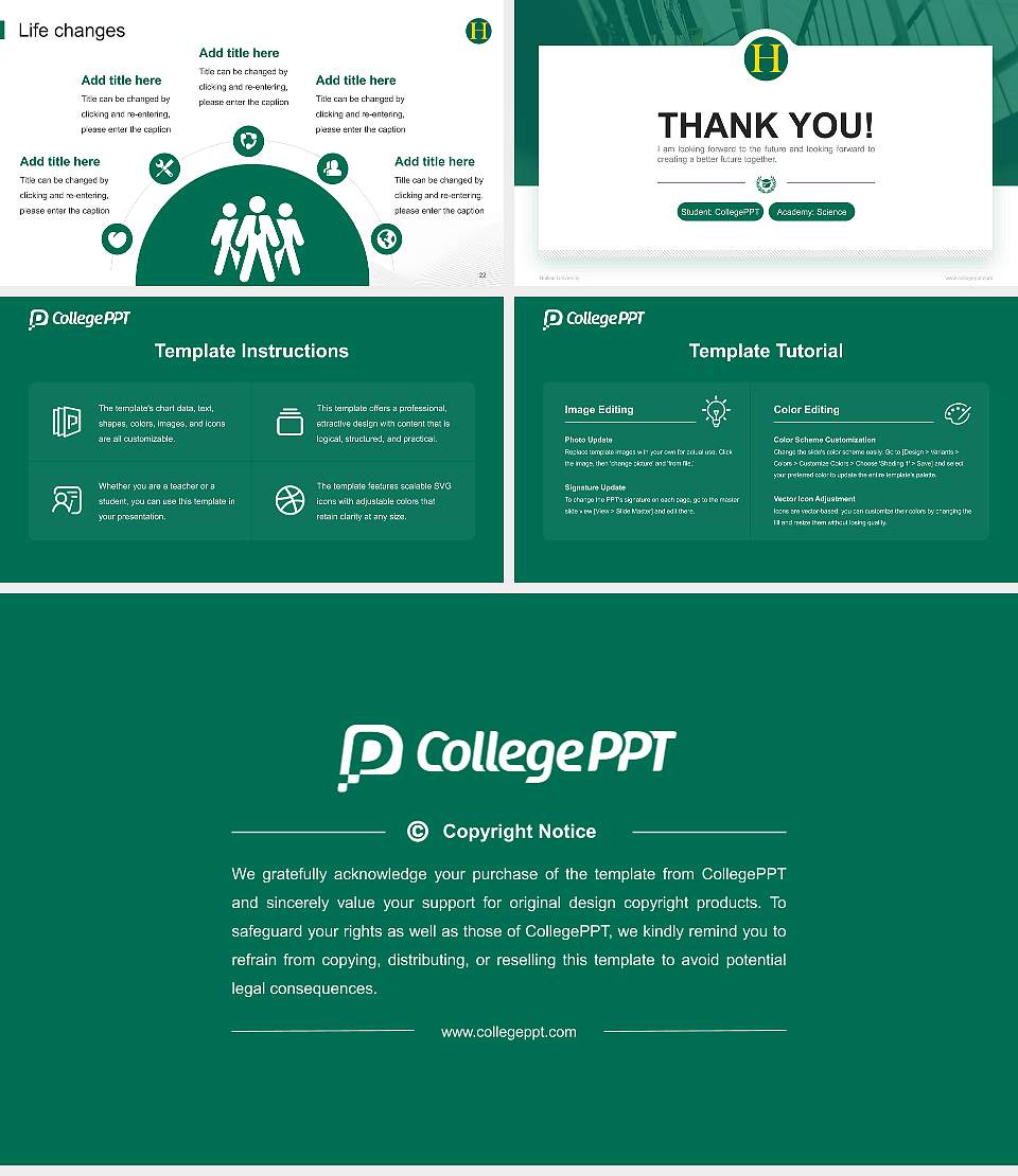Hollins University National Scholarship Defense PPT Template16:9 ratio PPT effect preview image4