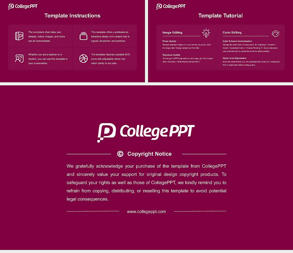 Lakeview College of Nursing Course/Courseware Creation PPT Template16:9 ratio PPT effect preview image5