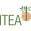 Institute of Taoist Education and Acupuncture