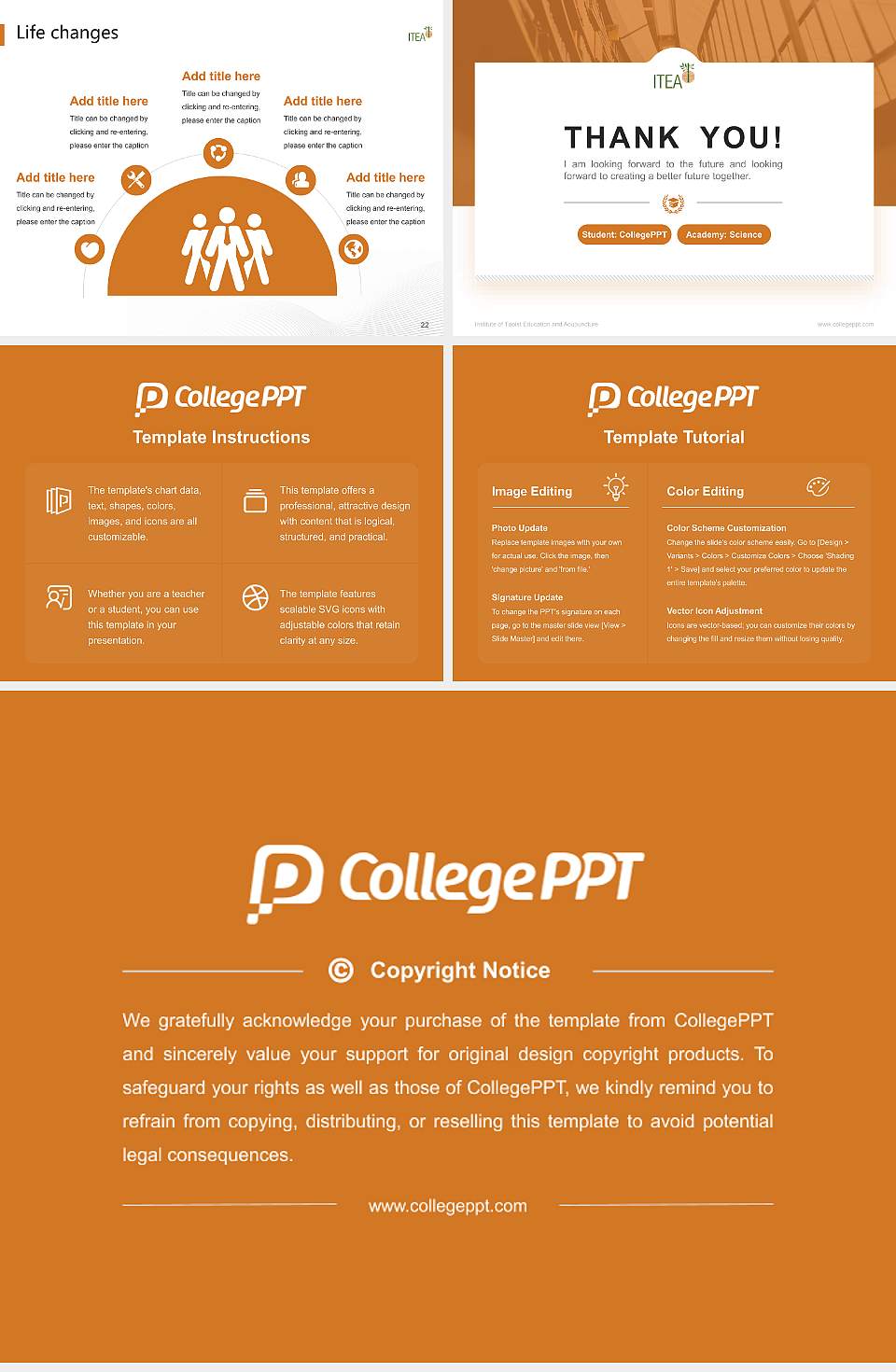 Institute of Taoist Education and Acupuncture National Scholarship Defense PPT Template4:3 ratio PPT effect preview image4
